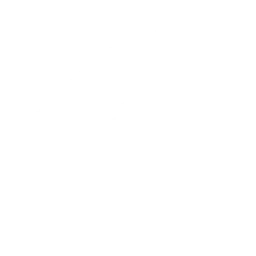Ion Lorente, Técnico Deportivo Nivel II